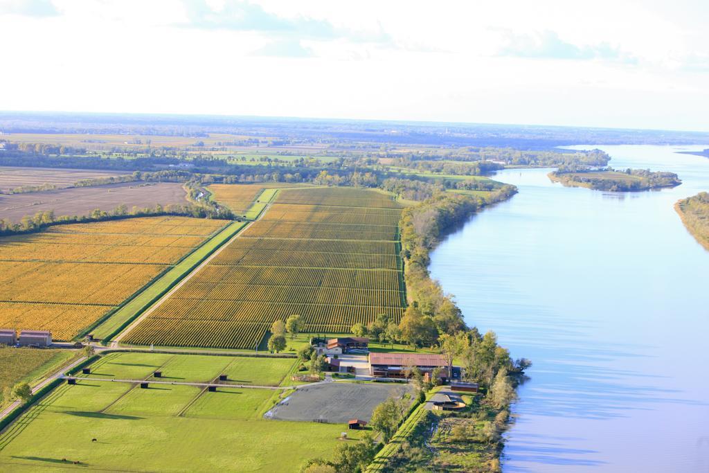 Les Cinq Sens Du Chateau Mayne Lalande Otel Castelnau-de-Médoc Dış mekan fotoğraf