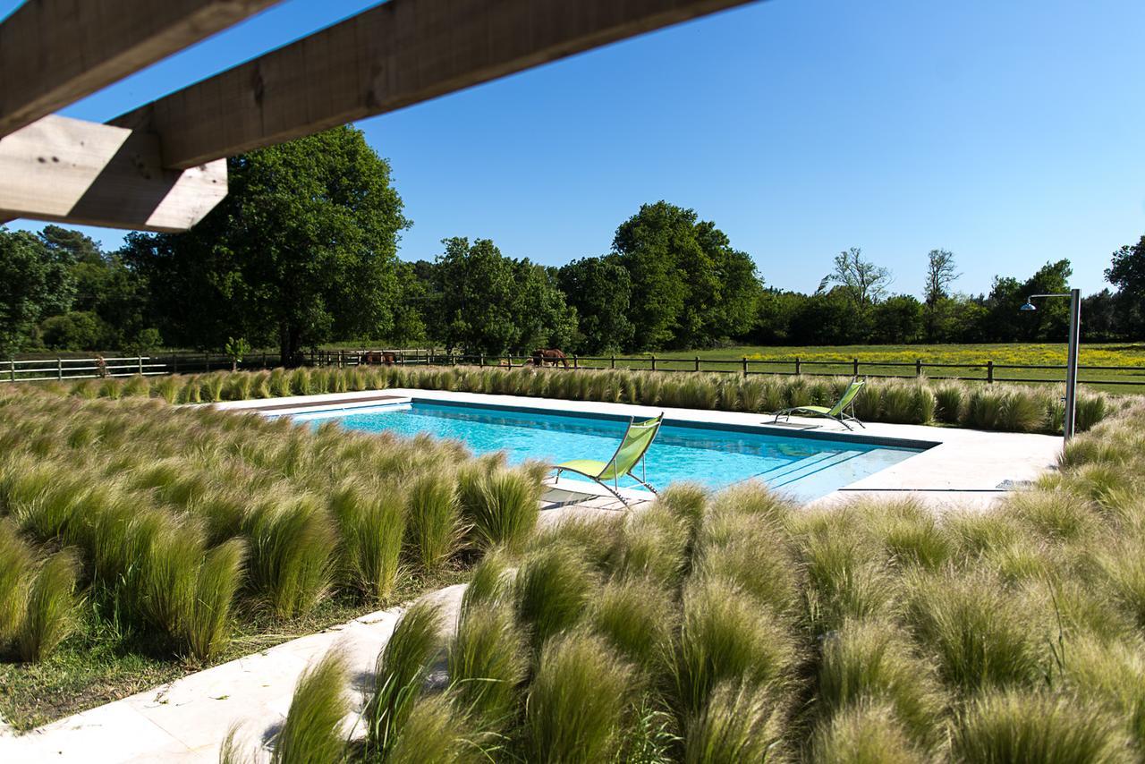 Les Cinq Sens Du Chateau Mayne Lalande Otel Castelnau-de-Médoc Dış mekan fotoğraf